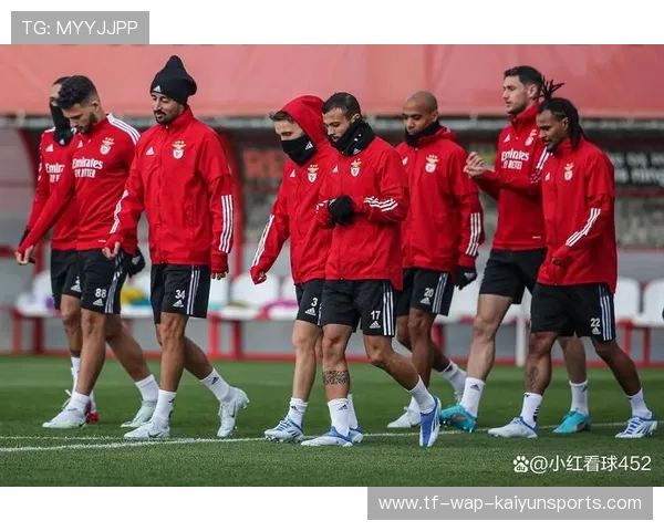 本菲卡球队防守体系令人刮目相看